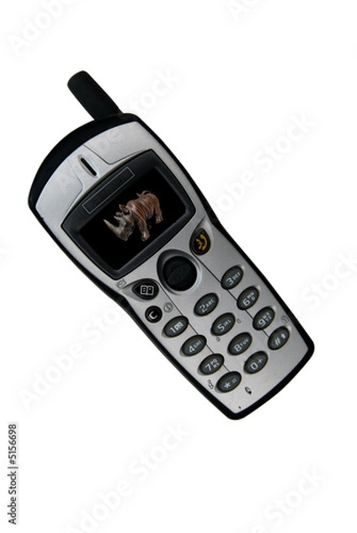 Obraz telephone