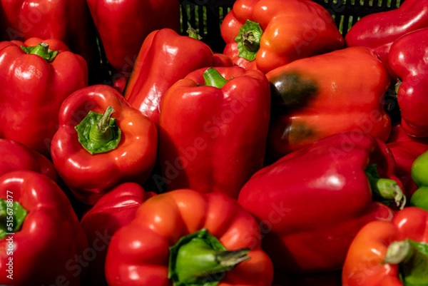 Fototapeta Piękne świeże papryki, Papryki przygotowane do sprzedaży, papryka, Beautiful fresh peppers, Peppers prepared for sale, peppers,