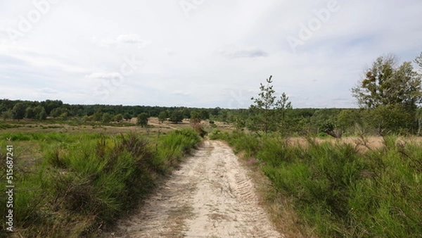 Obraz Döberitzer Heide