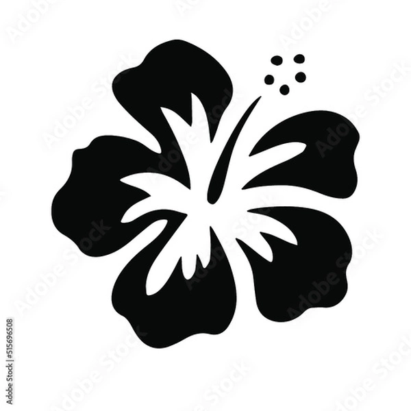 Obraz hawaiian flower