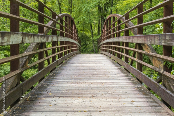 Fototapeta Arching foot bridge leading to a lush green forest.