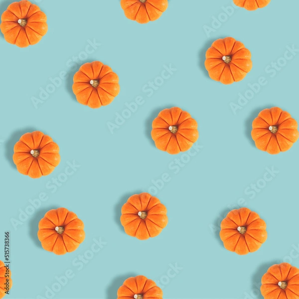 Fototapeta Many pumpkins on pastel blue background. Fall autumn halloween concept. Flat lay, top view. Autumn pattern.