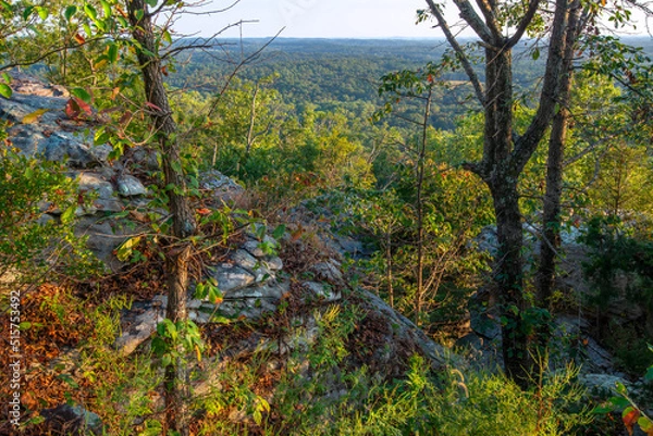 Fototapeta View of forested valley from a rocky mountain top with colors of Autumn