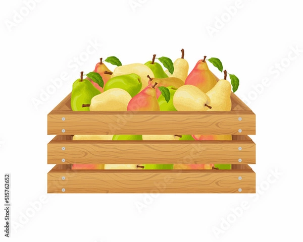 Fototapeta Pears. Wooden box with pears. Ripe pear fruits in a box. Fresh garden fruits. Juicy pears in a wooden box. Vector illustration isolated on a white background