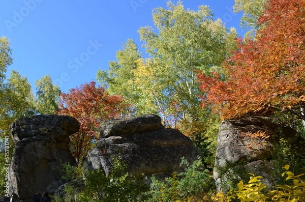Fototapeta bird on a tree