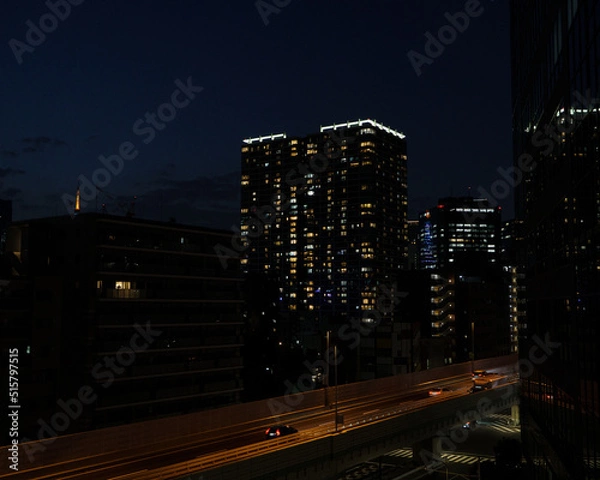 Obraz 東京の夜景