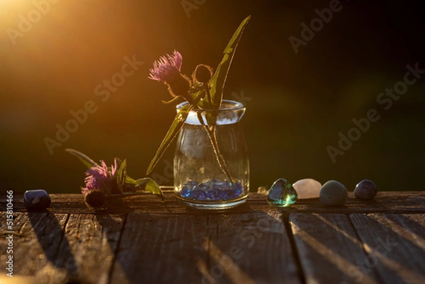 Obraz Scottish flower thistle in a glass vase, pebbles, crystals, colored crystals in the sunset rays of the sun, selective focus, fortune-teller props