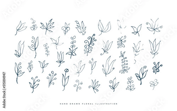 Fototapeta Set of Floral Illustrations. Flower and Leaf Illustration for Poster, Wedding, Greeting Card and Invitation Design