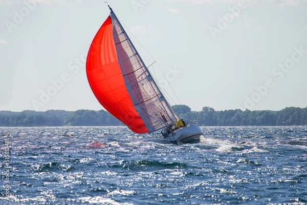 Fototapeta Roter Spinnaker