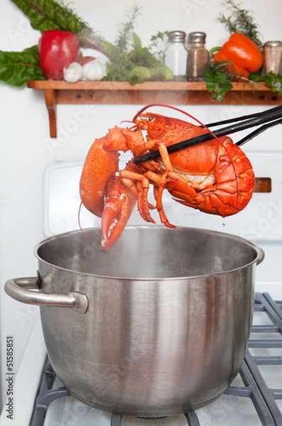 Fototapeta Boiled lobster