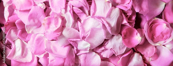 Obraz Natural background of rose petals