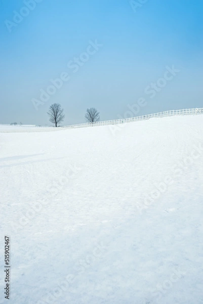 Obraz 안성목장의 설경