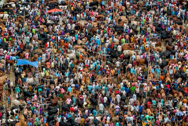 Obraz Eid ul Adha Cattle Market in Bangladesh