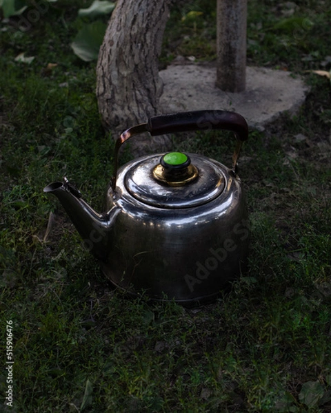 Obraz Teapot on the grass