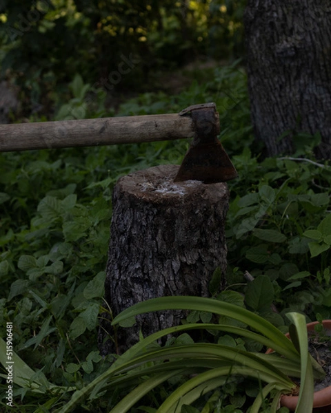 Obraz Axe in the stump