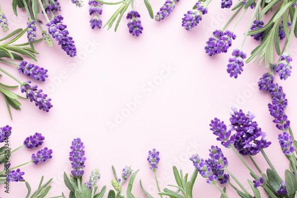 Obraz Flowers composition, frame made of lavender flowers on pastel background.