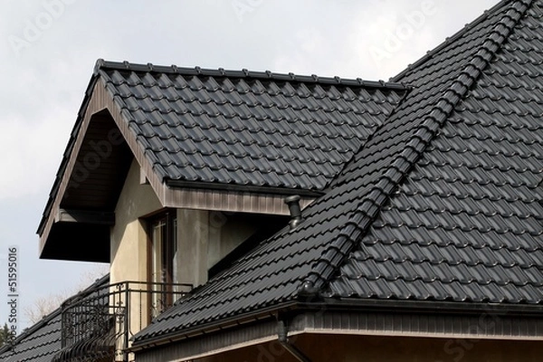 Obraz dach w kolorze czarnym