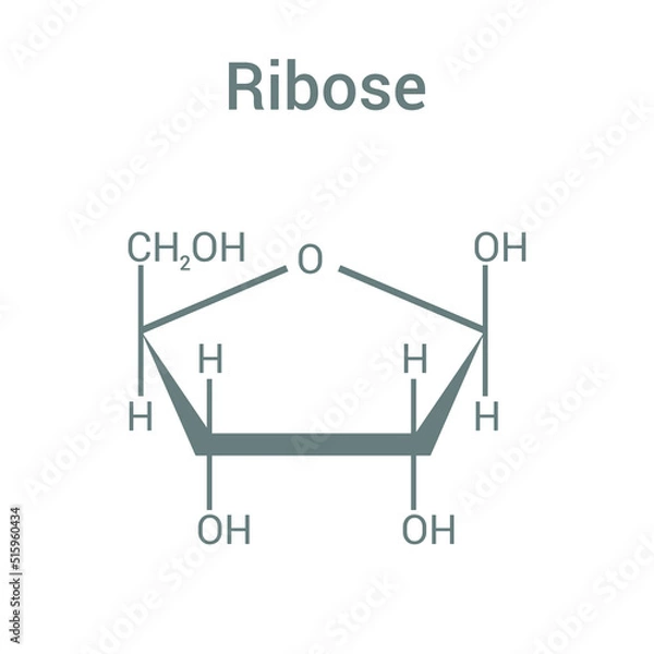 Fototapeta chemical structure of Ribose (C5H10O5)