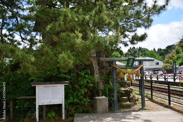 Fototapeta 義経社