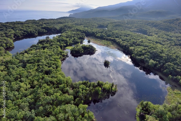Fototapeta 空から見る初夏の知床五湖（北海道・知床）
