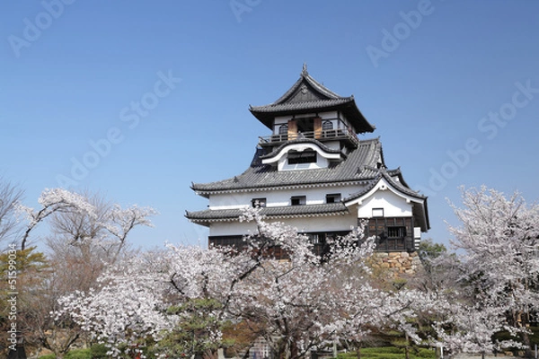 Fototapeta 犬山城と桜
