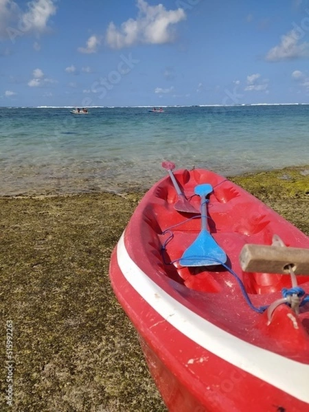 Obraz boat on the beach