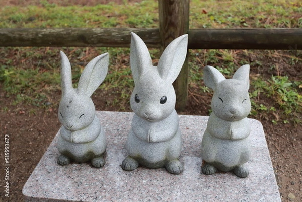 Fototapeta 因幡の石うさぎ