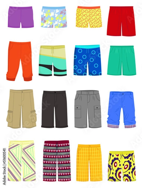Obraz Male shorts