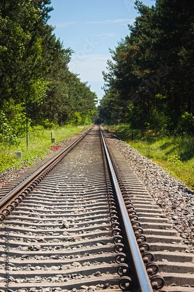 Obraz railroad tracks in the forest