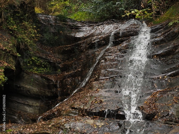 Obraz 養老渓谷　万代の滝