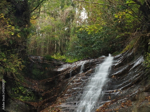 Obraz 養老渓谷　万代の滝