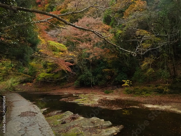 Obraz 秋の養老渓谷