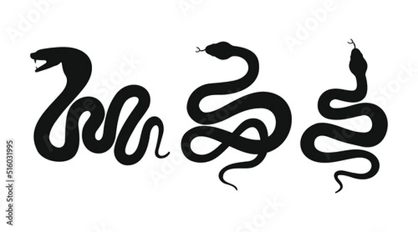 Fototapeta Collection of vector snakes. Silhouettes of a black cobra on a white isolated background. Viper, vector illustration.