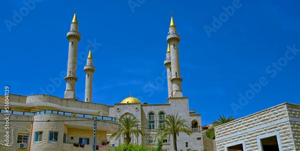 Obraz mosque country