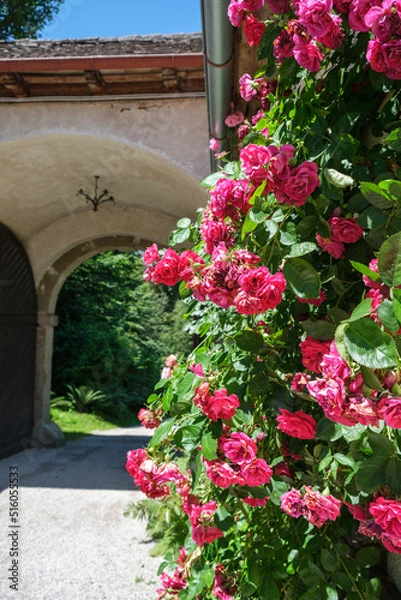 Fototapeta Clam Castle