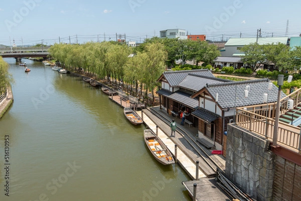 Fototapeta 水郷潮来あやめ園
