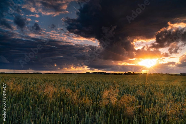 Obraz Summer sunset with beautiful clouds 