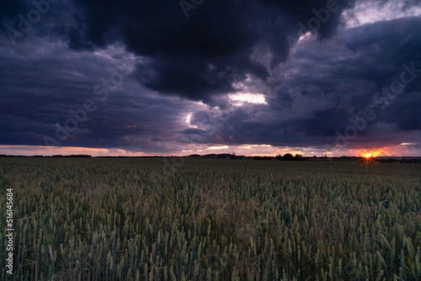 Obraz Summer sunset with beautiful clouds 