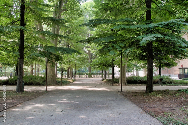 Obraz Park