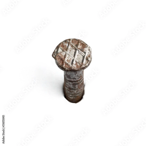 Obraz Rusty nail