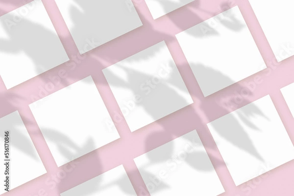 Fototapeta Natural light casts shadows from the plant on several square sheets of white textured paper lying on a pink textured background. Mockup
