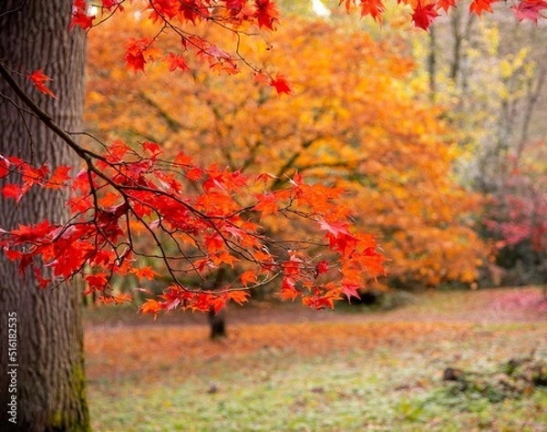 Obraz Warmest Season