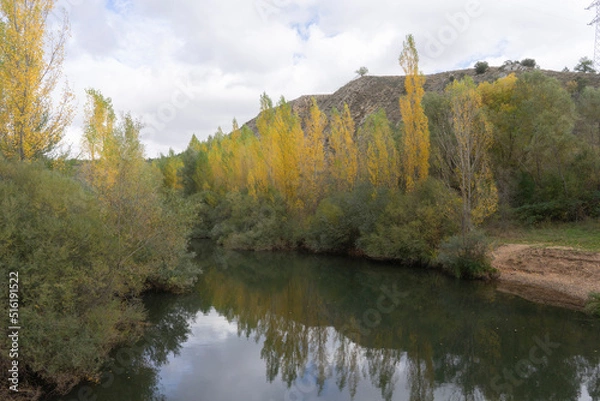 Obraz The Duero river near Soria with some trees already in late autumn with yellow leaves. Soria, Spain