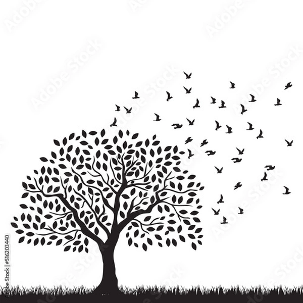 Fototapeta tree with birds