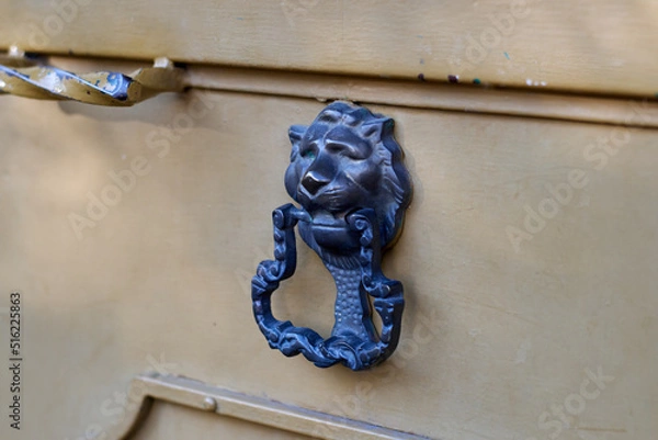 Obraz Old door with iron knocker