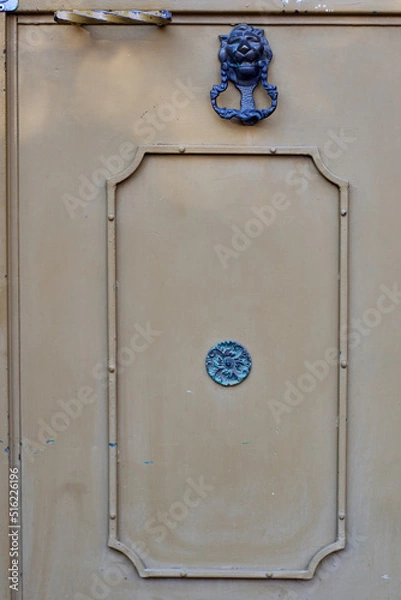 Obraz Old door with iron knocker