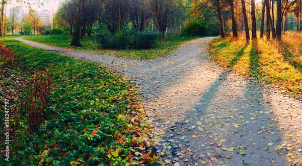 Obraz A wide walking path in the rays of the setting sun, showered with fallen leaves, on the outskirts of the park is divided into two paths, diverging in different directions. Autumn conceptual landscape