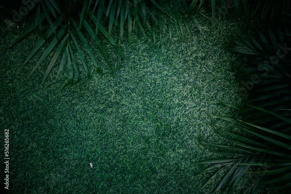 Obraz abstract background with green leaves