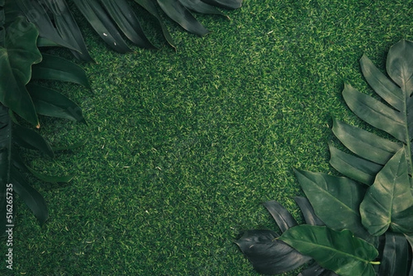 Obraz green grass on white background