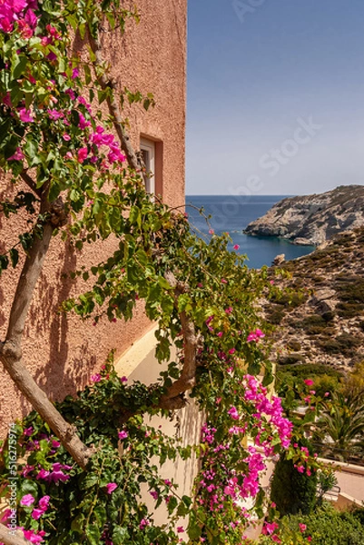 Obraz Flowers on the background of the wall of the house and the sea